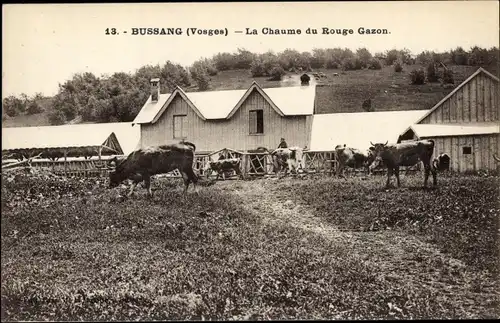 Ak Bussang Vogesen, Bauernhof, Chaume du Rouge Gazon