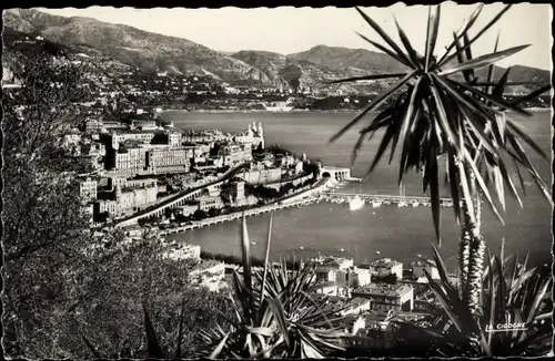 Ak Monte Carlo Monaco, Gesamtansicht