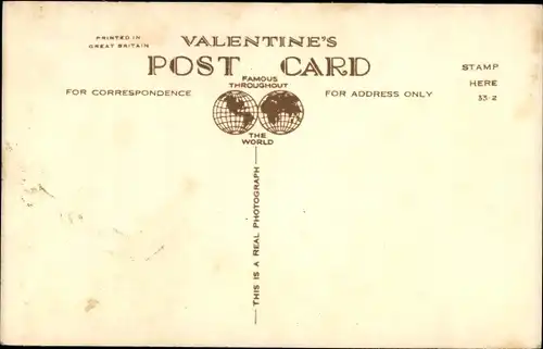 Ak Drei junge Katzen, Tierportrait