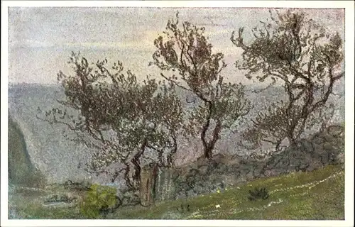 Künstler Ak Welti, Albert, Am Haag, Landschaftsszene mit knorrigen Bäumen, Kunstwart Nr. 220