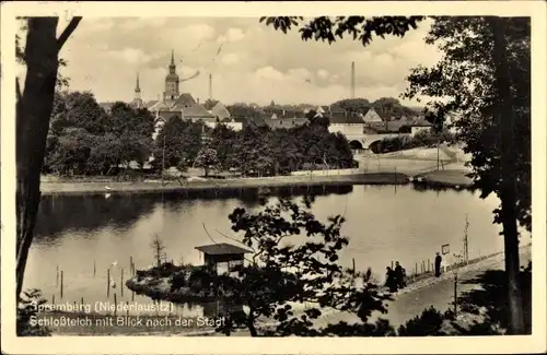 Ak Spremberg in der Lausitz, Schlossteich, Stadtpanorama