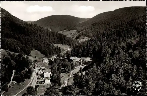 Ak Bad Rippoldsau Schapbach im Schwarzwald, Panorama