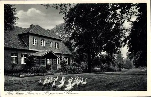 Ak Tornow Neuruppin in Brandenburg, Forsthaus