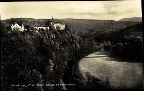 Ak Schwarzburg in Thüringen, Schloss, Hirschwiese