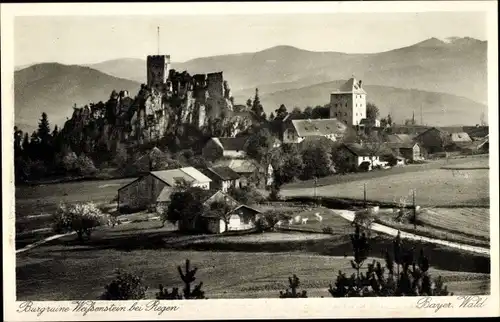 Ak Weißenstein Regen im Bayerischen Wald, Ruine Weißenstein