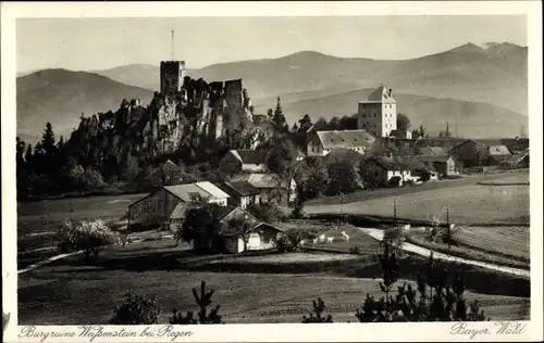 Ak Weißenstein Regen im Bayerischen Wald, Ruine Weißenstein