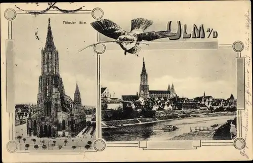 Ak Ulm an der Donau, Münster, Ortsansicht