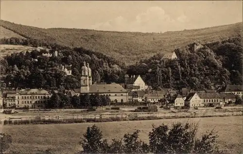 Ak Miltenberg am Main Unterfranken, Burg, Villen