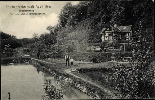 Ak Untergriesheim an der Jagst Bad Friedrichshall Württemberg, Forellenzuchtanstalt Adolf Hess