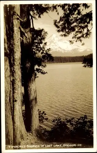 Ak Oregon USA, Blick auf den See
