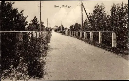 Ak Bron Schweden, Flyinge, Straßenpartie