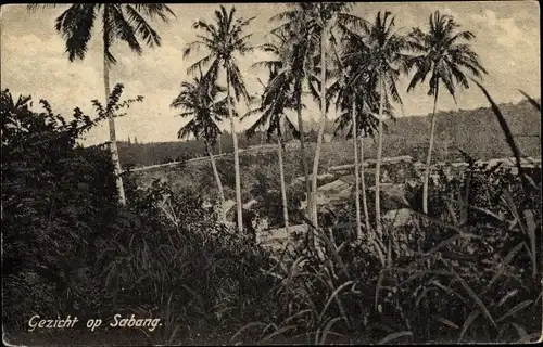 Ak Sabang Indonesien, Palmen mit dahinterliegendem Dorf