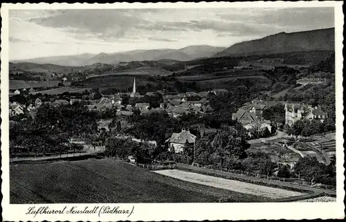 Ak Neustadt im Harz Harztor Thüringen, Gesamtansicht