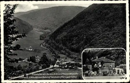 Ak Netzkater Ilfeld am Harz Thüringen, Hotel und Pension Netzkater, Panorama