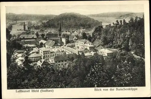 Ak Ilfeld am Harz Thüringen, Gesamtansicht, Burschenklippe