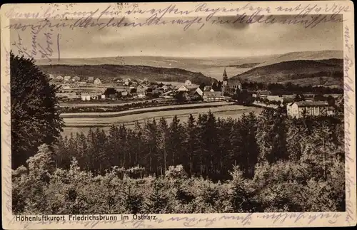 Ak Friedrichsbrunn Thale im Harz, Panorama