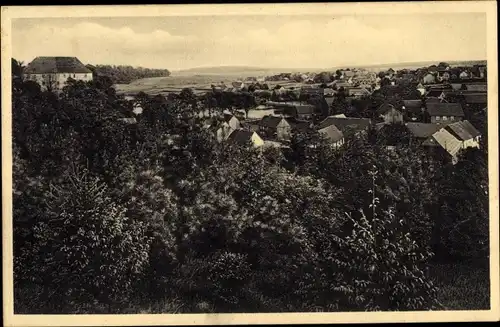 Ak Stiege Oberharz am Brocken, Panorama, Schenkenberg