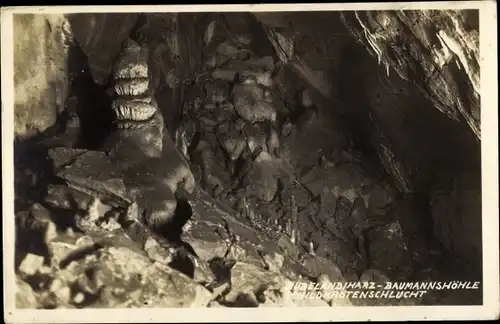 Ak Rübeland Oberharz am Brocken, Baumannshöhle, Schildkrötenschlucht