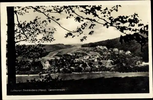 Ak Stecklenberg Thale im Harz, Gesamtansicht