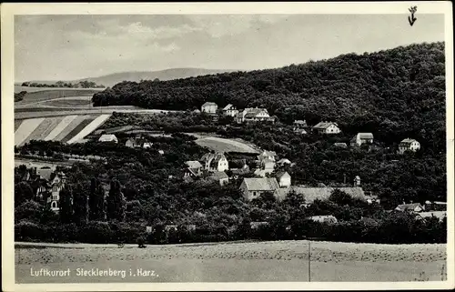 Ak Stecklenberg Thale im Harz, Gesamtansicht