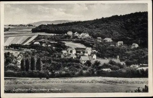 Ak Stecklenberg Thale im Harz, Gesamtansicht