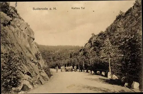 Ak Bad Suderode Quedlinburg im Harz, Kaltes Tal