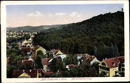 Ak Bad Suderode Quedlinburg im Harz, Schwedderholz