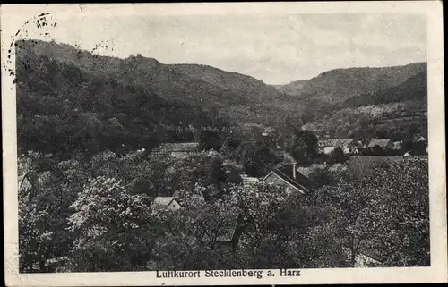 Ak Stecklenberg Thale im Harz, Panorama