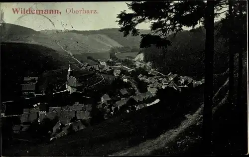 Ak Wildemann Clausthal Zellerfeld im Oberharz, Gesamtansicht