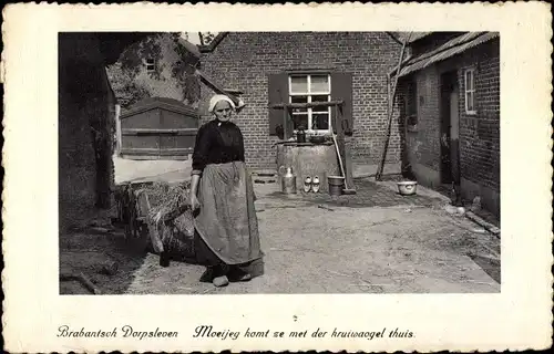 Ak Brabantsch Dorpsleven, Moeijeg komt ze met der kruiwaogel thuis, Niederländische Volkstracht