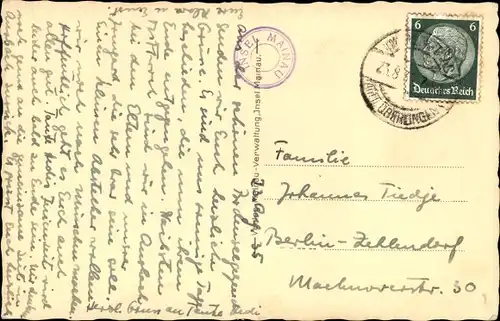 Ak Insel Mainau im Bodensee, Phönix-Palme