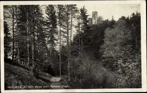 Ak Sobieszów Hermsdorf Kynast Jelenia Góra Hirschberg im Riesengebirge, Zamek Chojnik, Burg Kynast