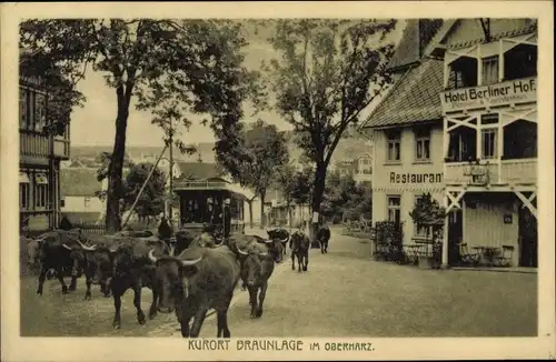 Ak Braunlage im Oberharz, Hotel Berliner Hof, Restaurant, Straßenbahn, Rinderherde