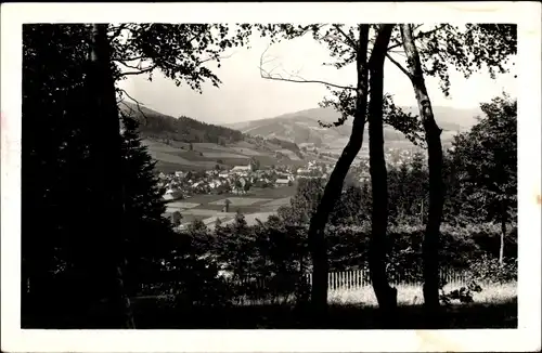 Ak Dolní Lipová Niederlindewiese Lipová Lázně Bad Lindewiese Region Olmütz, Panorama, Schrothkurort