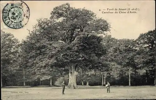 Ak Forêt de Sénart Essonne, Carrefour du Chene d'Antin
