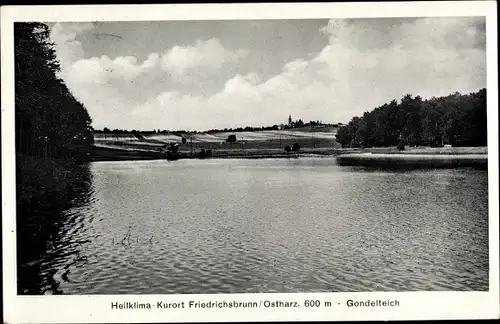 Ak Friedrichsbrunn Thale im Harz, Gondelteich