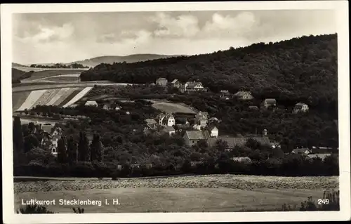 Ak Stecklenberg Thale im Harz, Gesamtansicht