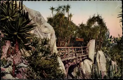 Ak Monaco, Exotischer Garten