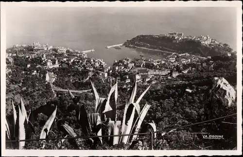 Ak Monaco, Panorama von La Turbie gesehen
