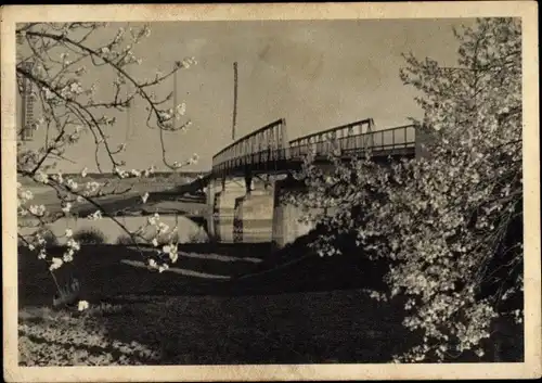 Ak Rüsselsheim am Main Hessen, Brücke, blühende Bäume