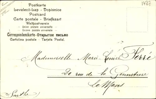 Präge Litho Glückwunsch Neujahr, Jahreszahl 1905, Schwalben
