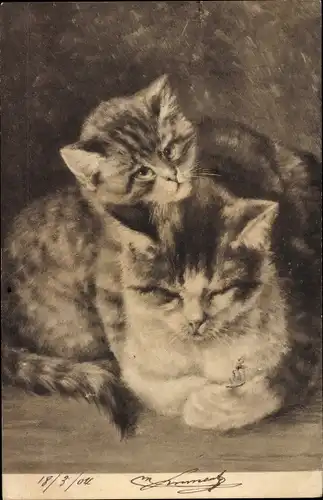 Litho Zwei Katzen, Katzenbaby, Katzenmutter