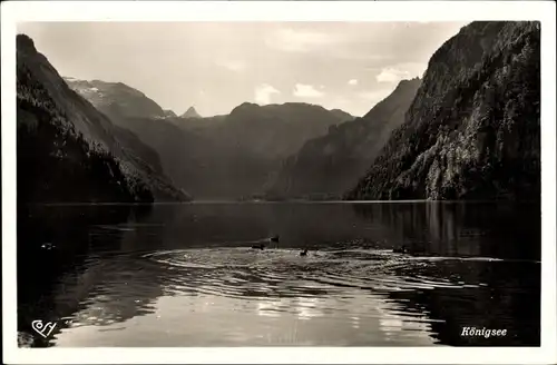 Ak Königsee Königssee Oberbayern, Malerwinkel, Panorama