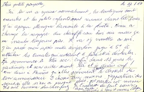 Künstler Ak Gougeon, Frau beim Telefonieren, Telefon, Kranker Hund mit Verband