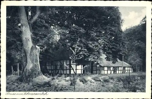 Ak Schwarzenbek in Lauenburg, Fachwerkhaus, Baum