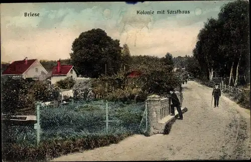 Ak Briese Birkenwerder im Kreis Oberhavel, Kolonie, Forsthaus