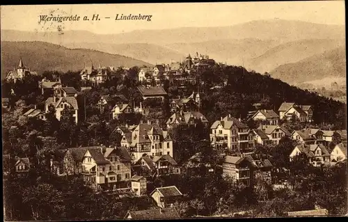 Ak Wernigerode im Harz, Gesamtansicht, Lindenberg