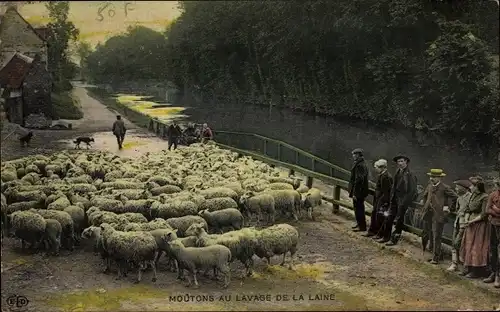 Ak Französische Bauern, Schafherde, Schafe, Fluss