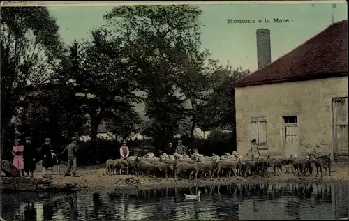 Ak Bauernhof, Schafherde, Schafe, Hirt, Wohnhaus