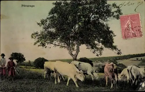 Ak Kinder und Kühe auf der Wiese, Landwirtschaft